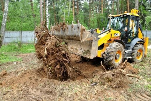 Удаление пней и корчевание вручную и со спецтехникой стоимость услуг и где заказать - Иркутск