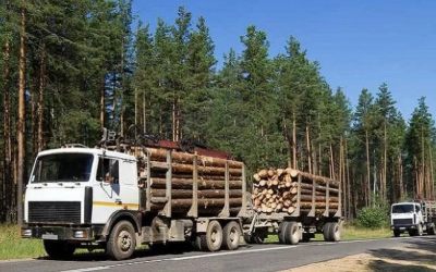 Лесовозы для перевозки леса, аренда и услуги. - Ангарск, заказать или взять в аренду