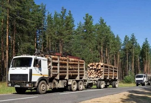 Лесовоз Лесовозы для перевозки леса, аренда и услуги. взять в аренду, заказать, цены, услуги - Ангарск