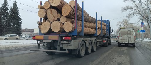 Поиск транспорта для перевозки леса, бревен и кругляка стоимость услуг и где заказать - Иркутск